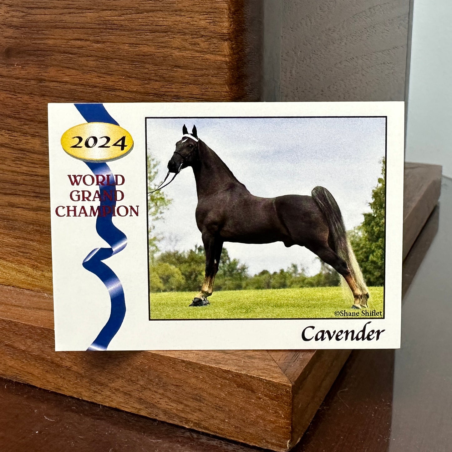 2024 WGC CAVENDER Trading Card