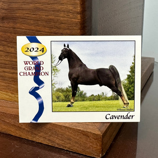 2024 WGC CAVENDER Trading Card