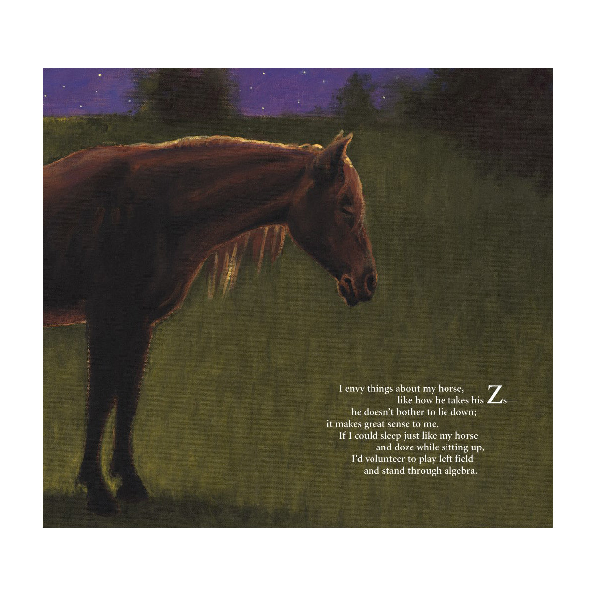 H is for Horse: An Equestrian Alphabet Picture Book