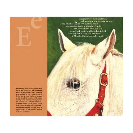 H is for Horse: An Equestrian Alphabet Picture Book