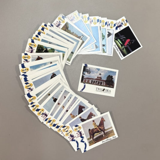 World Grand Champion Trading Cards