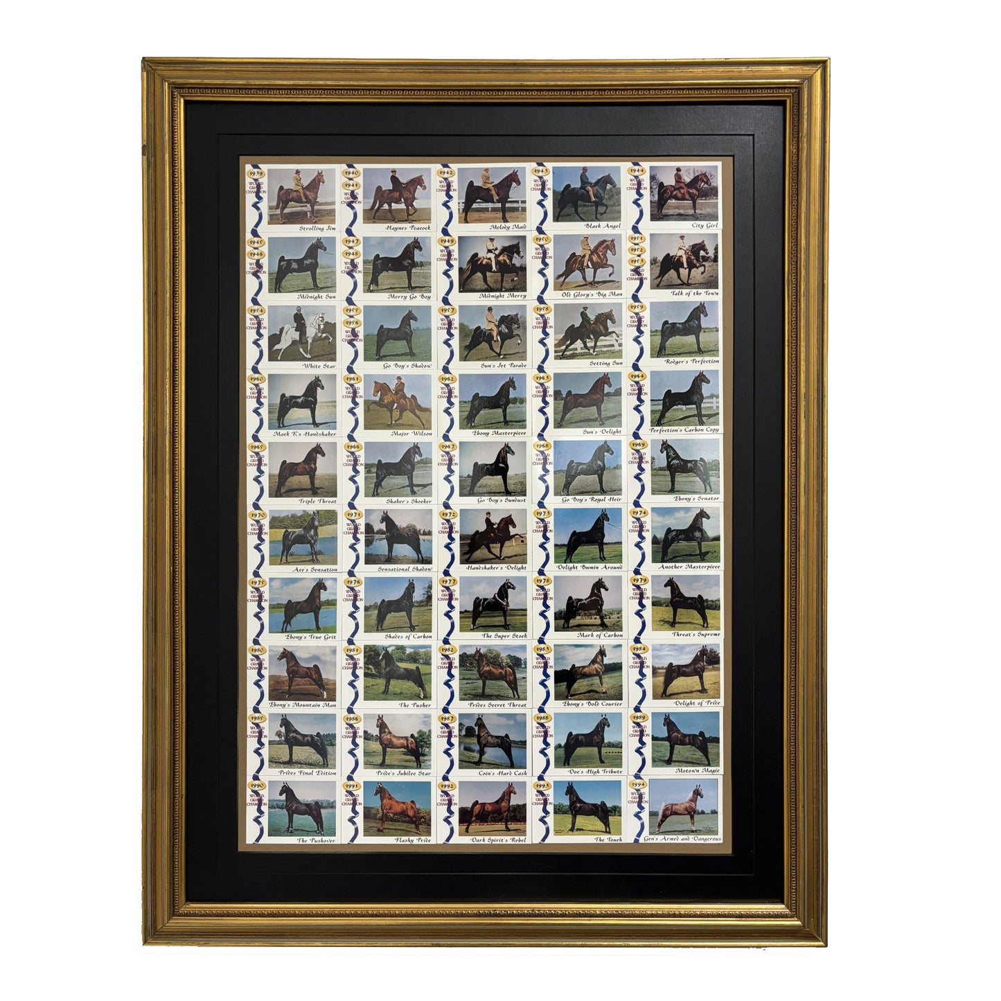 World Grand Champion Trading Cards