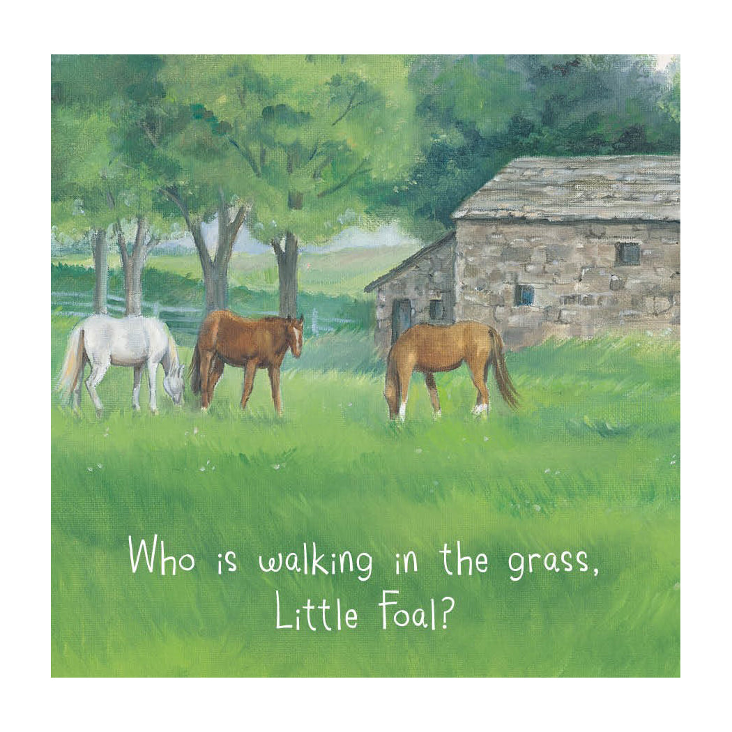 Little Foal's Busy Day Board Book