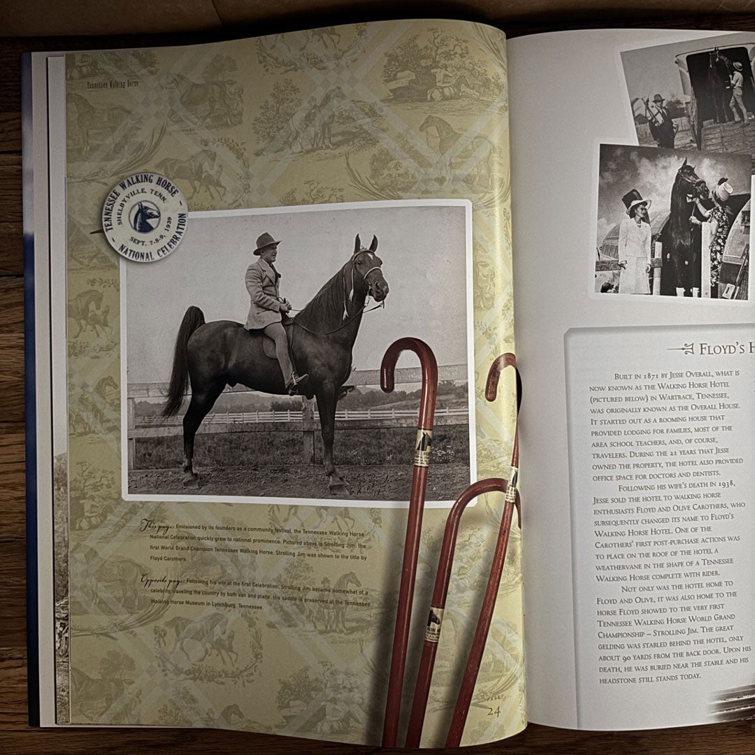 Tennessee Walking Horse: An American Tradition Book