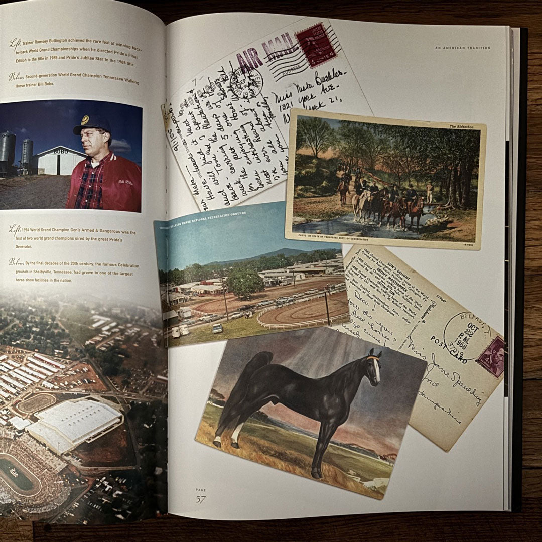 Tennessee Walking Horse: An American Tradition Book