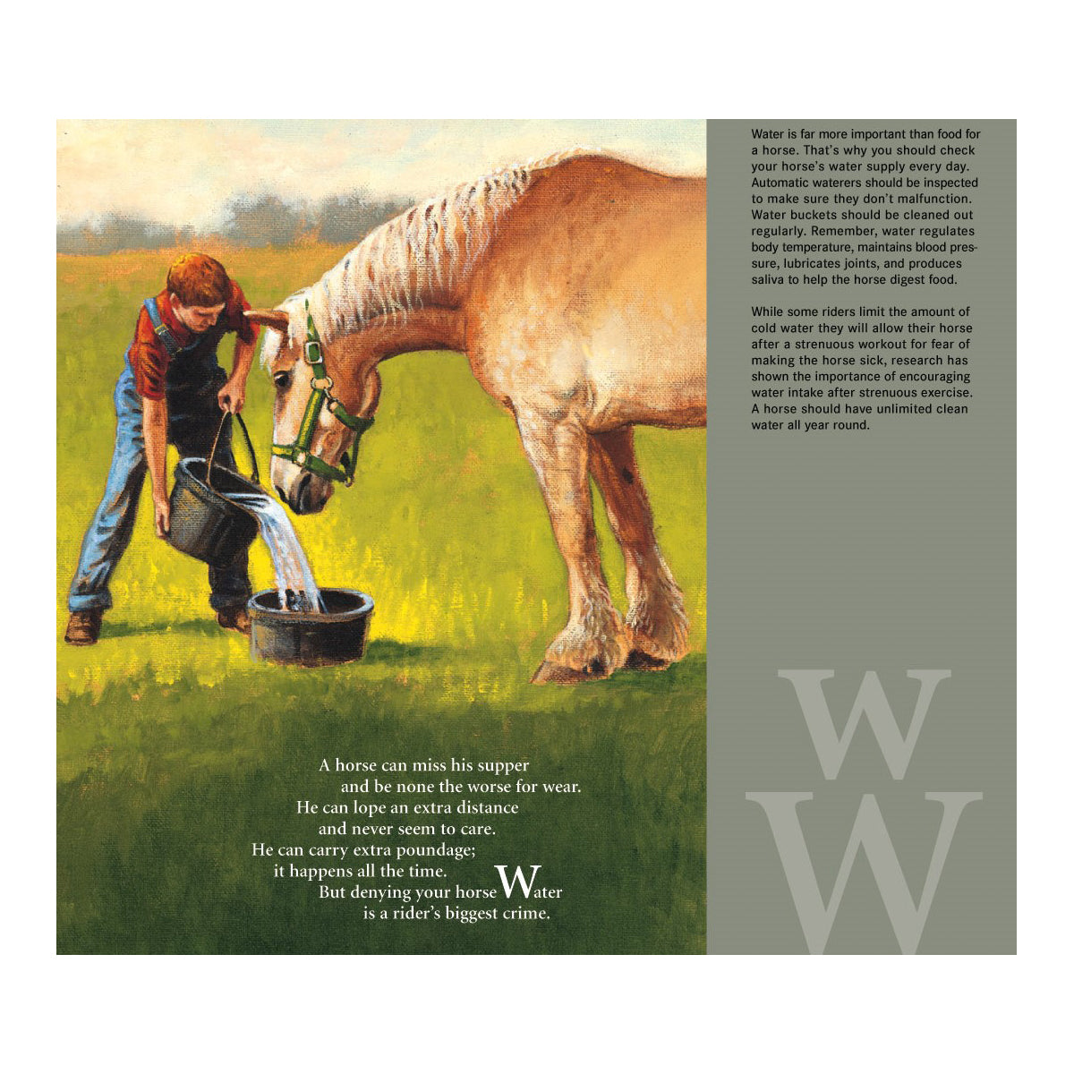 H is for Horse: An Equestrian Alphabet Picture Book