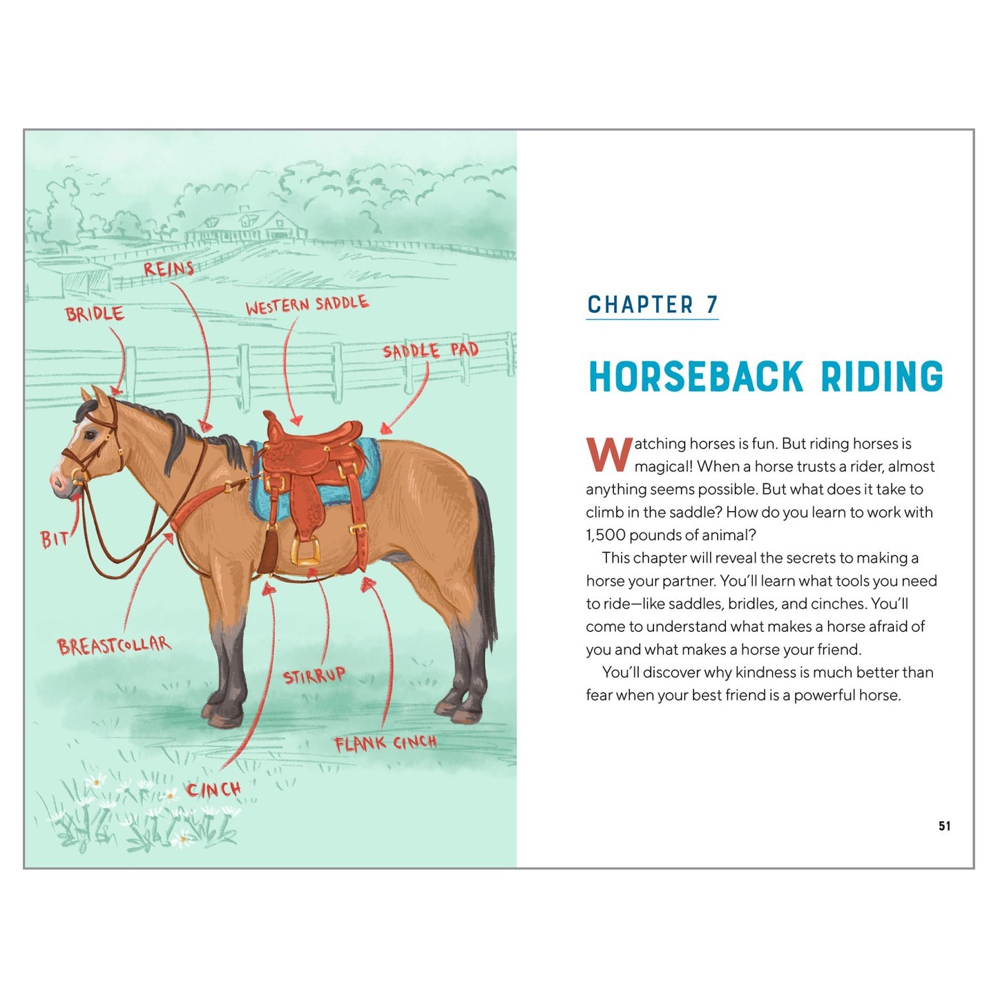 All About Horses