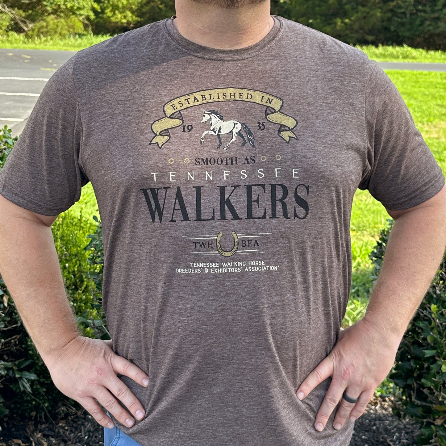 Smooth As Tennessee Walkers Vintage T-shirt